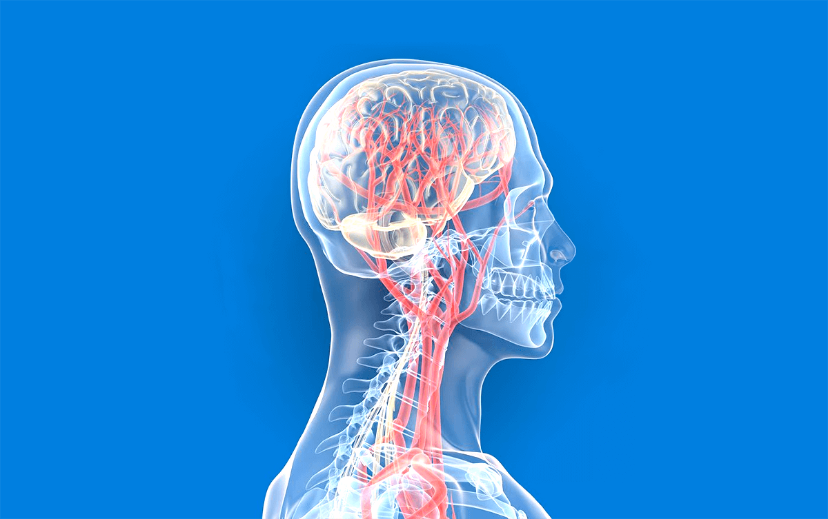 首の骨と椎骨動脈解離の正しい知識 自分の体は自分で守りましょう 肩こりや首こりの解消と改善なら鍼灸マッサージ院の肩こりラボ